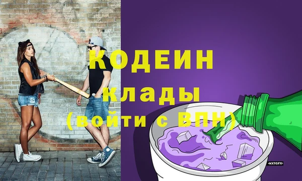 прущий лед Богданович