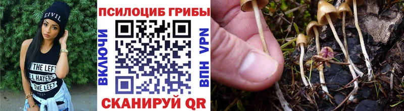 Галлюциногенные грибы Magic Shrooms  Сланцы 