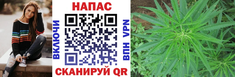 Марихуана LSD WEED  цена наркотик  Сланцы 